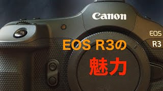 写真家 泉 悟朗 キヤノンEOS R3の魅力 [upl. by Erida]