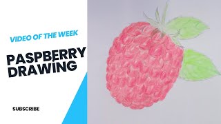 How to draw realistic raspberry fruit raspberry drawing with colour pencileasy draw for beginners [upl. by Catherin]