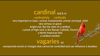 cardinal amp vagaries [upl. by Levram]