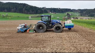 Zuckerrübensaat 🇨🇭 mit Lohnunternehmer Ryser mit einem New Holland T7270 [upl. by Sivahc]