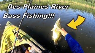 LargemouthSmallmouth Bass Fishing on the Des Plaines River Constant Action [upl. by Vanny]