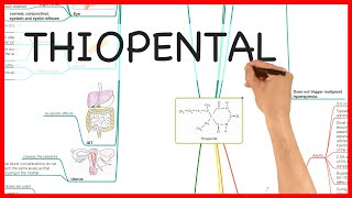 THIOPENTAL PHARMACOLOGY SERIES [upl. by Klemm]