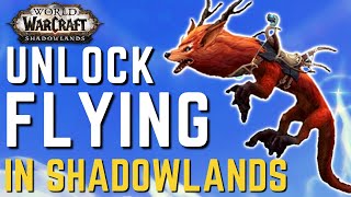 Unlock FLYING in Shadowlands 91  New Flying MOUNTS and How to Get Them [upl. by Dellora]