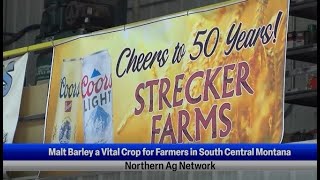 Malt Barley a Vital Crop for Farmers in South Central Montana [upl. by Merissa]