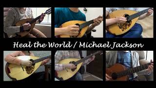 Heal the World  Michael Jackson Mandolin Cover [upl. by Tijnar]