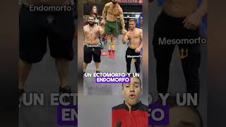 Endomorfo Ectomorfo y Mesomorfo brazos músculos gym mrolympia aesthetic fitness [upl. by Edualc383]