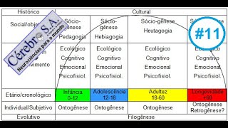 Humanos  Filogênese  Ontogênese  Sóciogênese [upl. by Lose]