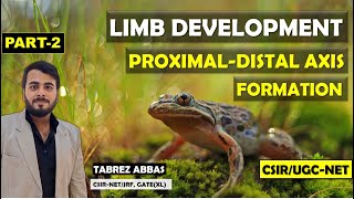 LIMB DEVELOPMENT PROXIMALDISTAL AXIS  PART2  UNIT5 DEVELOPMENT BIOLOGY  CSIRUGCNET MSC [upl. by Winnie416]