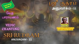 RUDRAM  ANUVAGAM  11  Learning Mode [upl. by Koeninger]