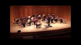 Beautiful Africa  Music From China Youth Orchestra [upl. by Halullat]