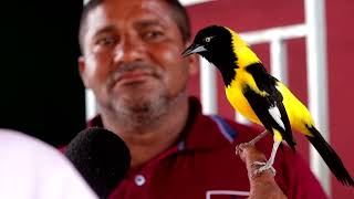 O HOMEM QUE ENSINOU O PASSARINHO CANTAR O HINO NACIONAL [upl. by Enilrem499]