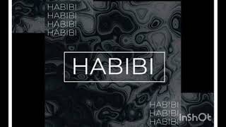 Habibi song lyrics Slowed Reverb song [upl. by Nonohcle100]