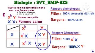 Texte modèle Biologie 2024 et Explication Hémophilie 100 motivation SVTSMPSES [upl. by Grayce68]