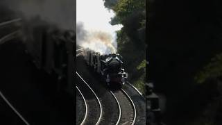 Two CASTLES SNAKE their way up Dainton Bank train steamtrain shortsvideo shorts [upl. by Bartko]