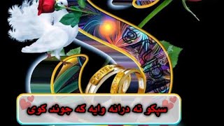 Moneer Pushto Shayari  Pushto Poetry  Tiktok Poetry [upl. by Waine109]