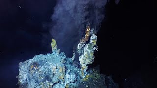 What are hydrothermal vents [upl. by Ainolloppa98]