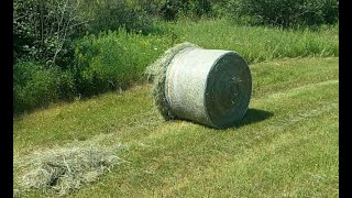 Netwrap Issueswhats up with this bale [upl. by Anadroj]