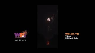 Wisley Pyrotechnics Inc WPI25TR [upl. by Lynelle342]