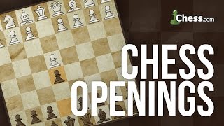 Learn to Play Chess The FourMove Checkmate [upl. by Yarehs903]