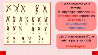 La relation entre  chromosome gène caractère héréditaire [upl. by Kasevich]