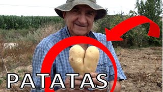 El huerto de Isidro 1 Patatas [upl. by Einnej]