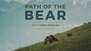 Path of the Bear  Official Trailer [upl. by Elamaj]