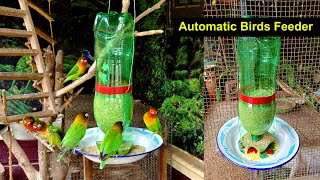 Easy Way To Make Automatic Birds Feeder  How to Make Birds Feeder 7Up Bottle [upl. by Otrebcire]