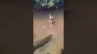 SEEKOR BUAYA MENCOBA MEREBUT MANGSA DARI ULAR PITON animals foryou [upl. by Ayatnahs]