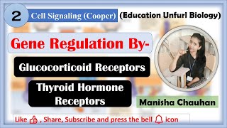 Steroid Hormone Receptor Thyroid Hormone Receptors  cellsignaling  cooper steroidreceptors [upl. by Iruy]