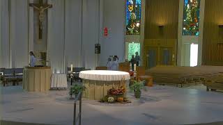 All Saints Catholic Church  Daily Mass [upl. by Dugald]