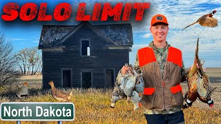 LIMITED OUT WHILE UPLAND BIRD HUNTING WITH 20 GAUGE NO DOG  Roosters Sharptails amp Huns [upl. by Alva]