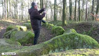 Ancient Dolmen at Altfrerener Forst Megalith Station 11 Germany  Großsteingrab [upl. by Syah]