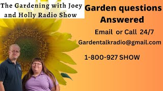 Seg 4 of S8E34 garden questions answered loofahs yacons safe canning harvesting broccoli  radio [upl. by Nerraf]