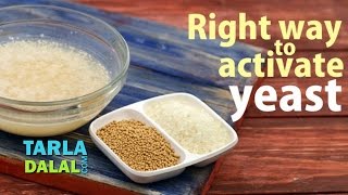 Right Way to Activate the Dry Yeast by Tarla Dalal [upl. by Arocahs]