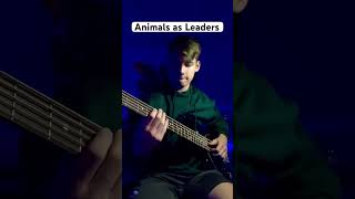 Lippincott Animals as Leaders Bass Cover animalsasleaders bassguitar slapbass [upl. by Mylan]