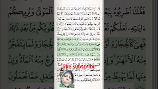 islam ki shan shorts surahbaqarahayat73to74  baqarahfastrecitation surahbaqarahkitilawat [upl. by Haily]