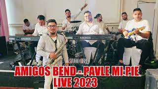 AMIGOS BEND 2023 LIVE  Pavle Mi Pie  STUDIO DENIS █▬█ █ ▀█▀ [upl. by Marolda]