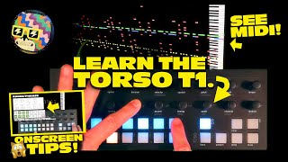 The Strange Torso T1 Sequencer EXPLAINED Step by Step [upl. by Ynohtnaleahcim]