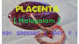 Malayalam Tutorial  OBG NURSING  PART 5  Placenta [upl. by Sidwel]