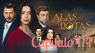 Alas Rotas  Capitulo 114  Audio español [upl. by Frederique507]