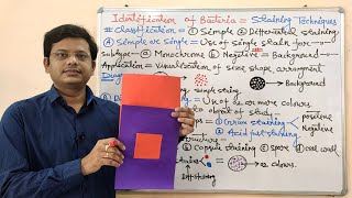 Microbiology 47  Identification of Bacteria Part02  Staining Techniques Classification [upl. by Sikras]