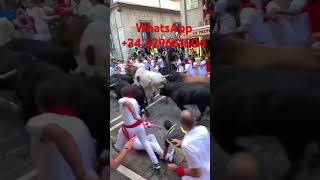 Pamplona sanfermin pamplonada yfm runningofthebulls spain travel traveltospain encierro [upl. by Rubi]