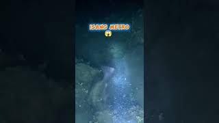 MAY PANG ULAM NA nightdive fishing spearfishing [upl. by Jordison]