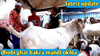 dhobi ghat bakra mandi 2024 latest update bakra mandi [upl. by Verene988]