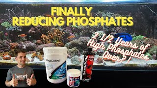 Reducing High Phosphates in My 200 Gallon Reef Tank 2 12 Years of Lessons to Get to This Point [upl. by Ledba]