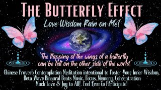 Butterfly Effect Chinese Proverb Contemplation Föster Inner Wisdom Focus Clarity Memory [upl. by Niawd]