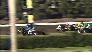 1989 Breeders Cup Mile [upl. by Boleyn806]