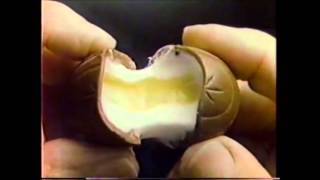 Cadbury Creme Eggs Commercial Early 80s [upl. by Gladys]