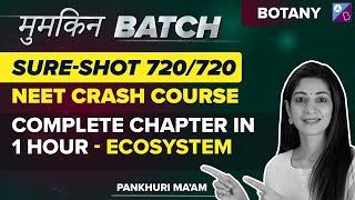 NEET 2023  Ecosystem in One Shot  Crash Course  NEET Biology  Pankhuri Maam [upl. by Alessandra]