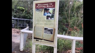 The History of the Puffing Billy Railway [upl. by Ardnuahc]